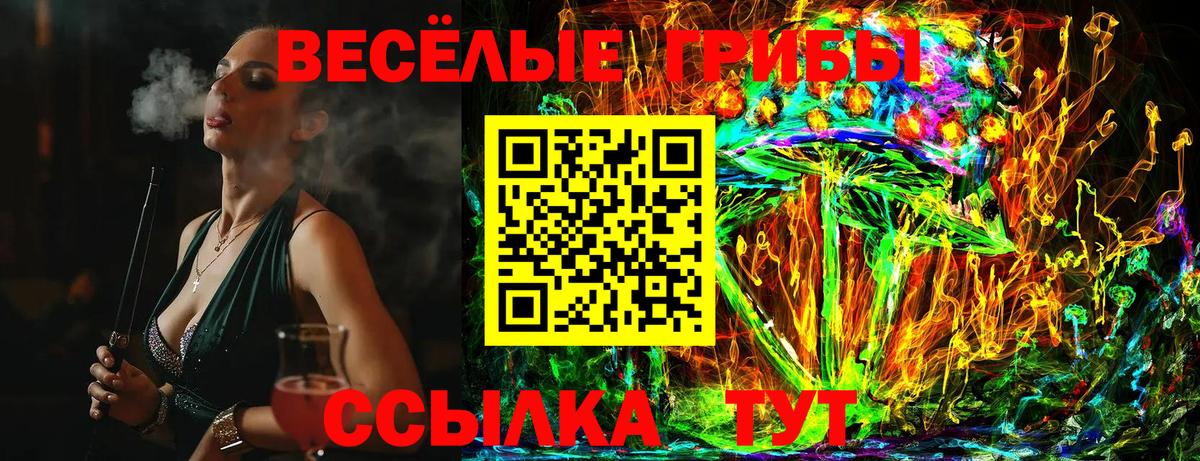 Серов  Галлюциногенные грибы Psilocybe  Вход с VPN 